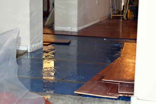 Professional Flood Cleanup technician working in Peck, MI